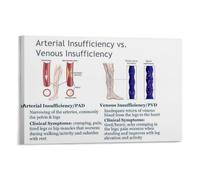 Varicose Veins Educational Poster - Medical Infographic on Risks, Signs & Symptoms - Informative Wall Art for Doctor Clinic, Nursing School, Home Office(Framed,08x12inch(20x30cm))