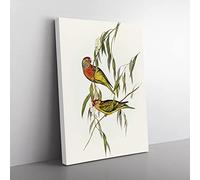 Varied Lorikeet Birds By Elizabeth Gould Vintage Canvas Wall Art Print Ready to Hang, Framed Picture for Living Room Bedroom Home Office Décor, 60x40 cm (24x16 Inch)