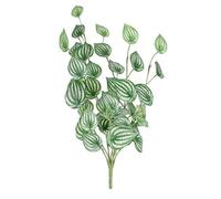 Variegated Peperomia Plant 68Cm - Green