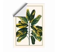 Variegated Specimen Botanical Unframed Wall Art Print A3 (42×29.7cm), Wall Decor for Living Room, Bedroom, Office & Home, Art Gift