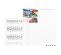 Variety 9 X 12 Inch Cotton Canvas Board for Painting, 7OZ Primed, Pack of 6 Piece