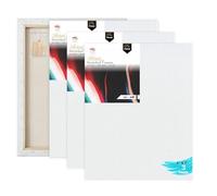 Variety Canvas 5 x 7 Inch 3 Piece Pre Stretched Canvas Board for Painting with Wooden Frame