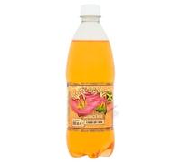 Variety Flavour Soft Drink 600ml - Assorted Fruit Flavoured Fizzy Drink - Bga (6 x Bottles, Jamaica Kolla Flavour Soft Drink)