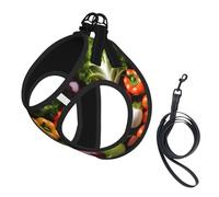 variety fresh vegetables fruits printing Puppy Harness, Dog Harness and Leash Set, Soft Mesh Reflective Breathable Lightweight Vest-Style