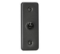 Varilight 1-Gang 10A 1- or 2-Way Toggle Architrave Switch Graphite 21