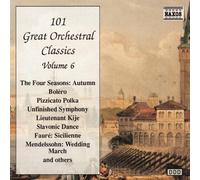 VARIOUS - 101 Gt. Orchestral Classics Vol 6