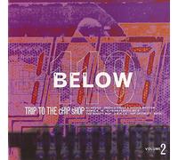 Various - 110 Below Volume 2 [VINYL]