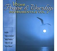 Various - 16 Great Praise & Worship Inst