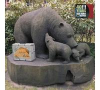 Various 40 Years Bear Family Records (CD) (US IMPORT)