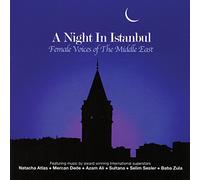 Various - A Night in Istanbul