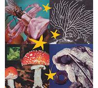 Various Artists - All Things Considered Vol.2 (Various Artists) [VINYL]