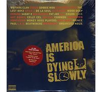 Various - America Is Dying Slowly [VINYL]