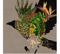 Various Artists - @0: Curated and Mixed By Coldcut and Mixmaster Morris - CD ...