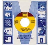 Various Artists 1971: The Sound of Young America (CD) Box Set (US IMPORT)