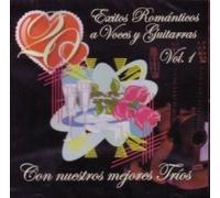Various Artists - 20 Exitos Romanticos a Voces Y Guitarras