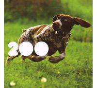 Various Artists - 200