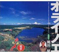 Various Artists - オライノエ