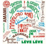 VARIOUS ARTISTS - 2015-2025 LES DISQUES BONGO JOE: 10 YEARS OF SONIC EXPLORATIONS [VINYL]