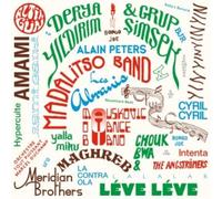 VARIOUS ARTISTS - 2015-2025 LES DISQUES BONGO JOE: 10 YEARS OF SONIC EXPLORATIONS [VINYL]