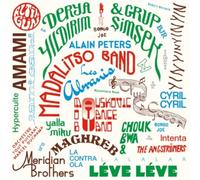 VARIOUS ARTISTS - 2015-2025 LES DISQUES BONGO JOE: 10 YEARS OF SONIC EXPLORATIONS [VINYL]