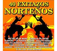 Various Artists - 40 Exitazos Nortenos