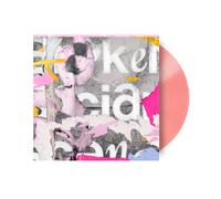 Various Artists A Celebration of Broken Social Scene's 'You Forgot It in (Vinyl)