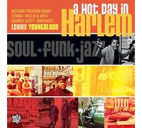 Various Artists - A Hot Day In Harlem