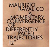 Various Artists - A Momentary Convergence Of Differently Paced Trajectories [VINYL]