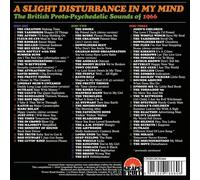 VARIOUS ARTISTS - A SLIGHT DISTURBANCE IN MY MIND - THE BRITISH PROTO-PSYCHEDELI