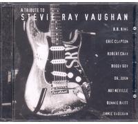 Various Artists - A Tribute to Stevie Ray Vaughan