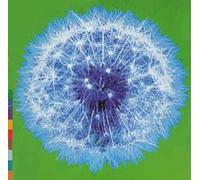 Various Artists - A Week Or Two In The Real World
