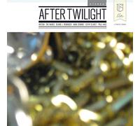 Various Artists - After Twilight
