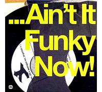 Various Artists - Ain't It Funky Now [VINYL]