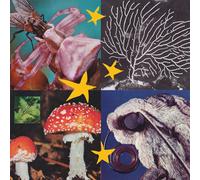 Various Artists - All Things Considered Vol.2 (Various Artists) [VINYL]