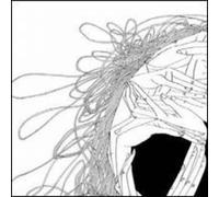 Various Artists - Amai #1/4 [VINYL]