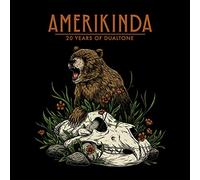Various Artists - Amerikinda: 20 Years Of Dualtone [VINYL]