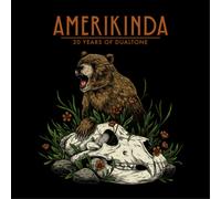 Various Artists - Amerikinda: 20 Years Of Dualtone [VINYL]