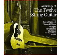 ANTHOLOGY OF THE TWELVE STRING GUITAR / - Anthology of the Twelve String Guitar