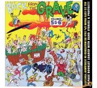 Various Artists - Back from the Grave 5+6