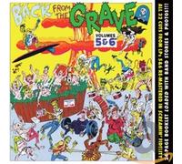 Various Artists - Back from the Grave 5+6