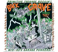 Various Artists - Back from the Grave Vol.3