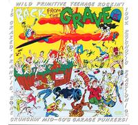 Various Artists - Back from the Grave Vol.5 [VINYL]