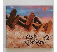 Various Artists - Beats Without Borders: Phat Global 2