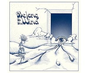 Various Artists - Belong to the Wind - Vinyl Record - J3z