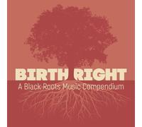Birthright: A Black Roots Music Compendium