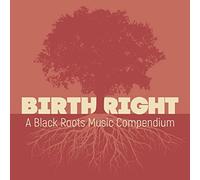 Birthright: A Black Roots Music Compendium
