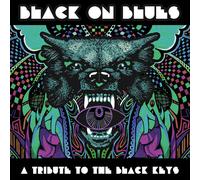 Various Artists : Black On Blues: A Tribute to the Black Keys VINYL 12" Album