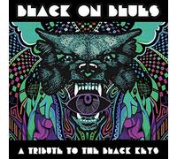 Various Artists : Black On Blues: A Tribute to the Black Keys VINYL 12" Album