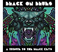Various Artists : Black On Blues: A Tribute to the Black Keys VINYL 12" Album