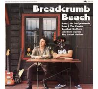 Various Artists - Breadcrumb Beach: Contemporary Austrian Instrumental Surfmusic [VINYL]